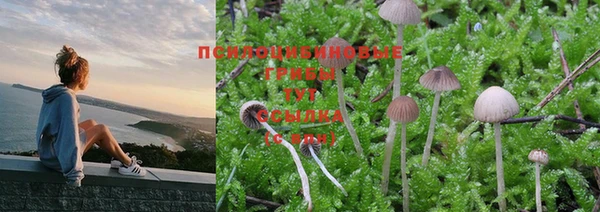 шишки Приозерск