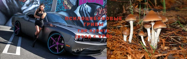 mdpv Протвино