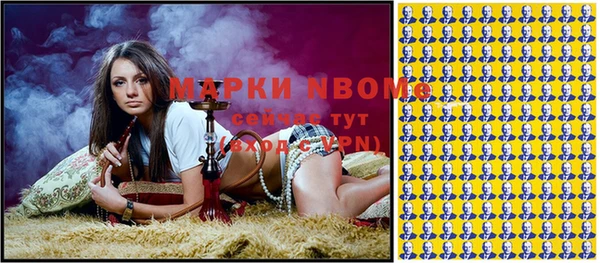 шишки Приозерск